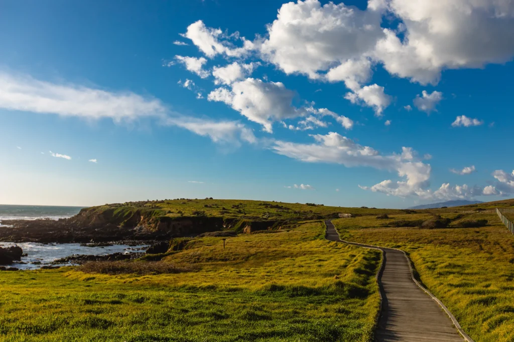 A winding path cuts through a grassy coastal landscape under a bright blue sky with scattered clouds, leading towards a distant rocky shoreline and the ocean.