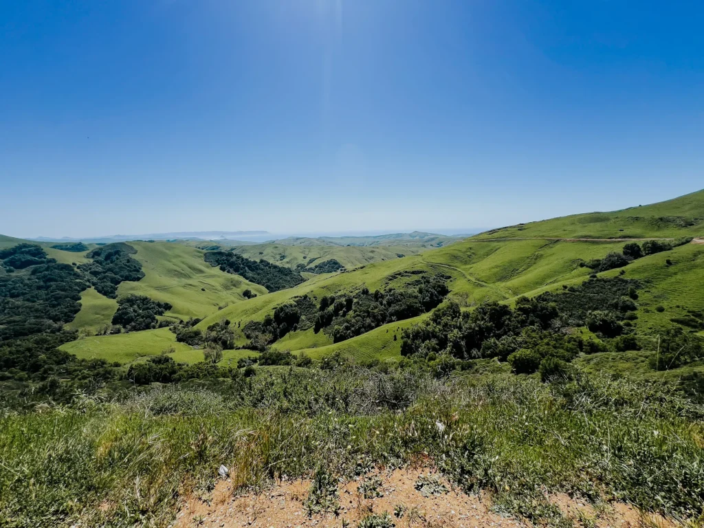 A panoramic view of rolling green hills under a clear blue sky, with sunlight shining down and patches of trees and shrubs scattered throughout the landscape.