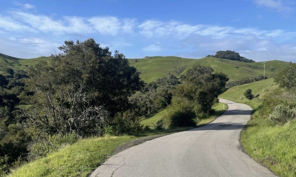 A winding paved road curves through green hills under a bright blue sky with scattered clouds. Trees and grass line the roadside, creating a peaceful, scenic landscape.