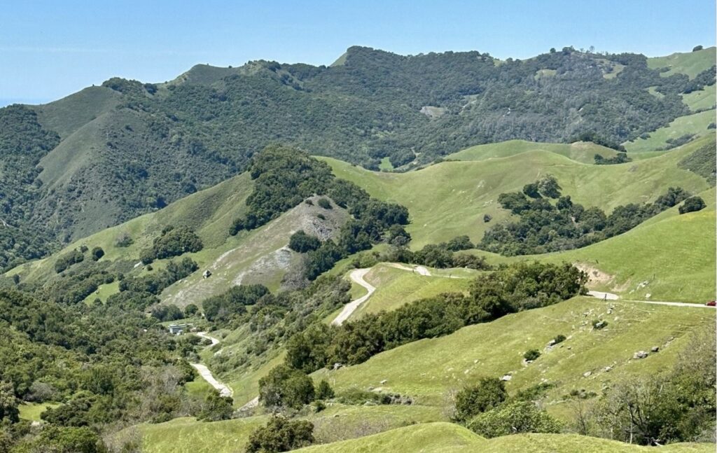 A winding road cuts through rolling green hills dotted with trees under a clear blue sky, with distant mountains in the background.
