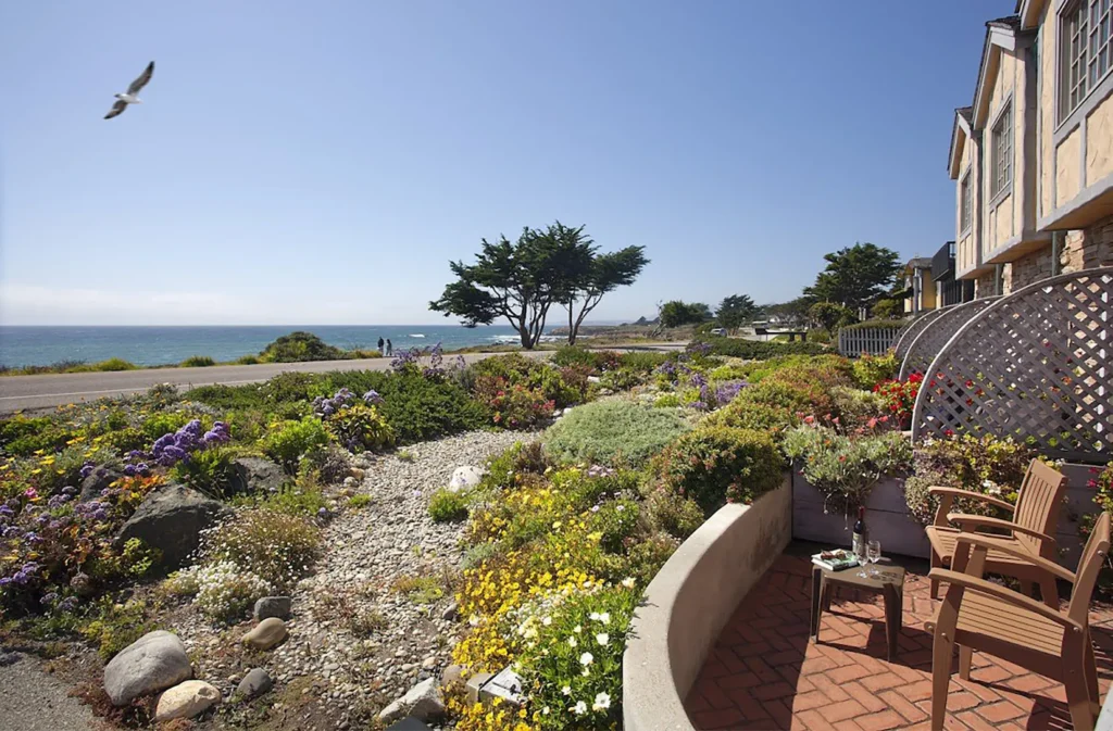 A coastal garden with colorful flowers and shrubs overlooks a scenic ocean view. A patio with two chairs and a table sits nearby, and houses line the right side under a clear blue sky. A seagull flies overhead.