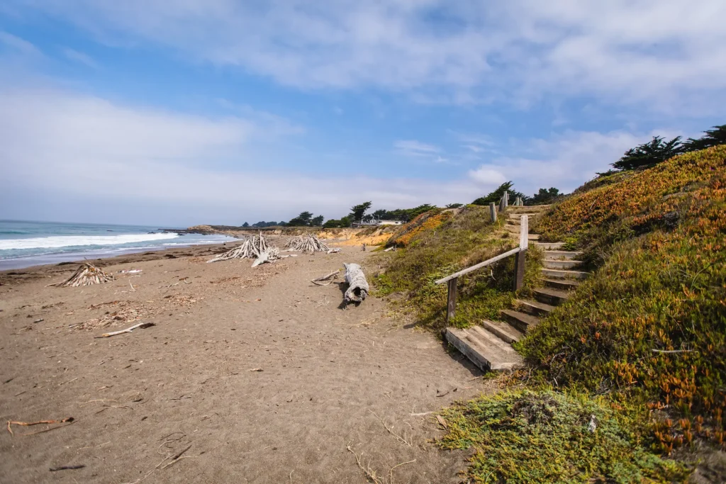 Wooden steps lead down to a sandy beach with scattered driftwood, coastal vegetation on the hillside, and waves rolling in under a partly cloudy blue sky.